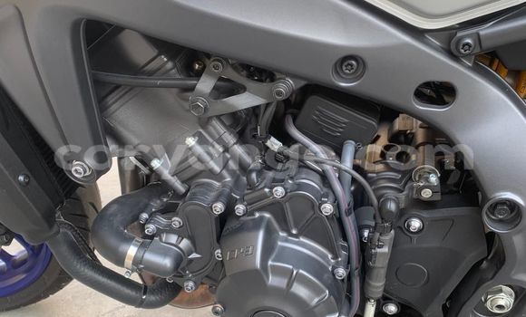 Acheter Occasion Moto Yamaha MT Beige à Windhoek, Namibie Acheter Occasion Moto Yamaha MT Beige à Windhoek, Namibie