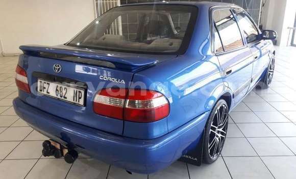 Buy Used Toyota Corolla Blue Car in Windhoek in Namibia Buy Used Toyota Corolla Blue Car in Windhoek in Namibia