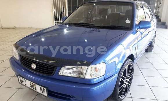 Buy Used Toyota Corolla Blue Car in Windhoek in Namibia Buy Used Toyota Corolla Blue Car in Windhoek in Namibia