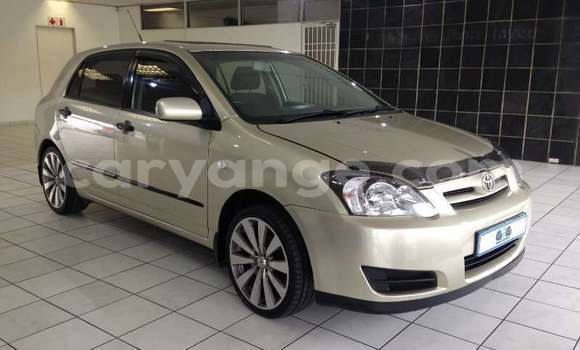 Buy Used Toyota Runx Beige Car in Windhoek in Namibia