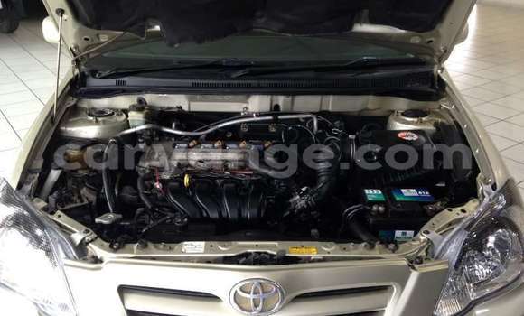 Buy Used Toyota Runx Beige Car in Windhoek in Namibia Buy Used Toyota Runx Beige Car in Windhoek in Namibia