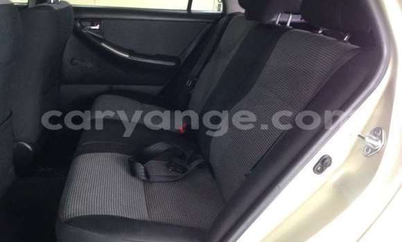 Buy Used Toyota Runx Beige Car in Windhoek in Namibia Buy Used Toyota Runx Beige Car in Windhoek in Namibia