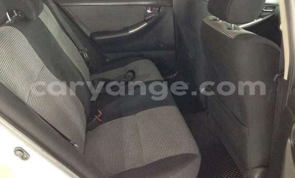 Buy Used Toyota Runx Beige Car in Windhoek in Namibia Buy Used Toyota Runx Beige Car in Windhoek in Namibia