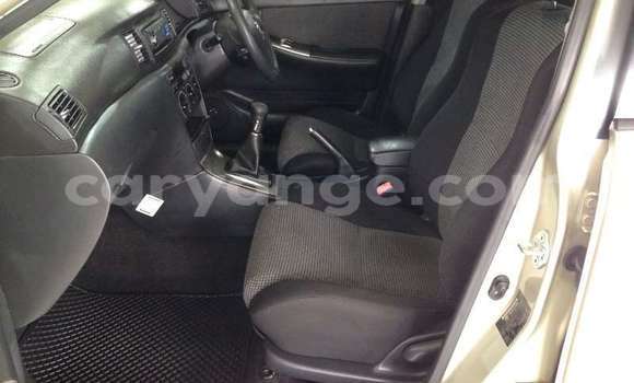 Buy Used Toyota Runx Beige Car in Windhoek in Namibia Buy Used Toyota Runx Beige Car in Windhoek in Namibia