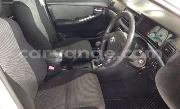 Buy Used Toyota Runx Beige Car in Windhoek in Namibia Buy Used Toyota Runx Beige Car in Windhoek in Namibia