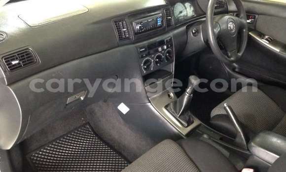 Buy Used Toyota Runx Beige Car in Windhoek in Namibia Buy Used Toyota Runx Beige Car in Windhoek in Namibia