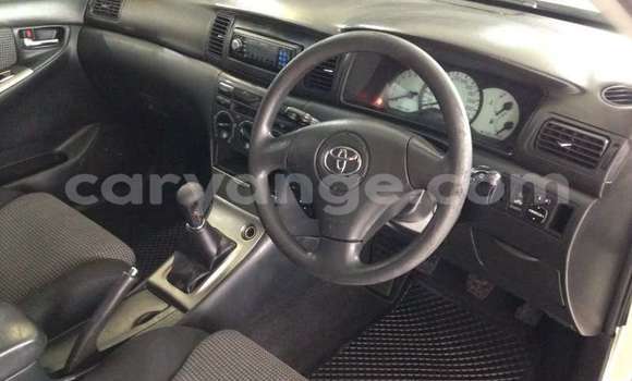 Buy Used Toyota Runx Beige Car in Windhoek in Namibia Buy Used Toyota Runx Beige Car in Windhoek in Namibia