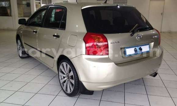 Buy Used Toyota Runx Beige Car in Windhoek in Namibia Buy Used Toyota Runx Beige Car in Windhoek in Namibia