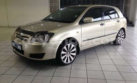 Buy Used Toyota Runx Beige Car in Windhoek in Namibia Buy Used Toyota Runx Beige Car in Windhoek in Namibia