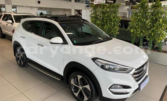 Buy Used Hyundai Tucson White Car in Windhoek in Namibia