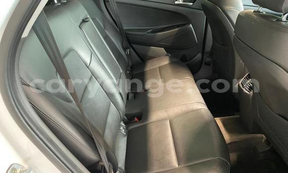 Buy Used Hyundai Tucson White Car in Windhoek in Namibia Buy Used Hyundai Tucson White Car in Windhoek in Namibia