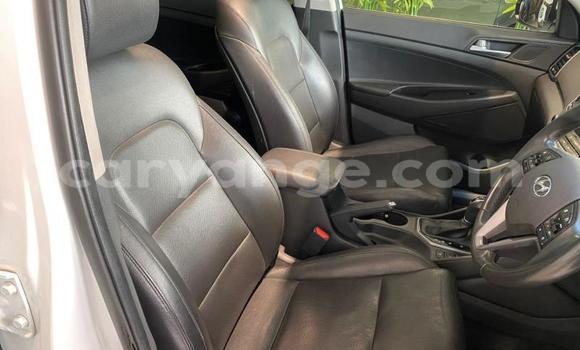 Buy Used Hyundai Tucson White Car in Windhoek in Namibia Buy Used Hyundai Tucson White Car in Windhoek in Namibia