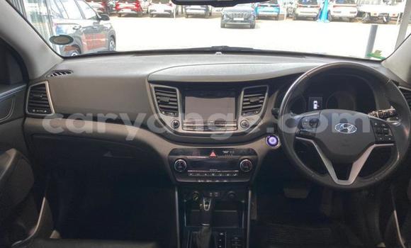 Buy Used Hyundai Tucson White Car in Windhoek in Namibia Buy Used Hyundai Tucson White Car in Windhoek in Namibia