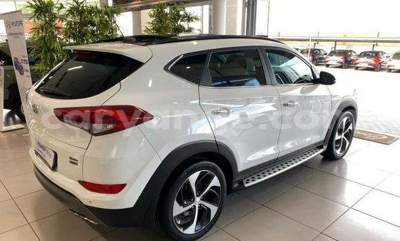 Buy Used Hyundai Tucson White Car in Windhoek in Namibia Buy Used Hyundai Tucson White Car in Windhoek in Namibia