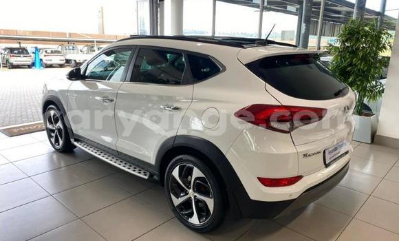 Buy Used Hyundai Tucson White Car in Windhoek in Namibia Buy Used Hyundai Tucson White Car in Windhoek in Namibia