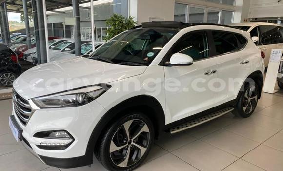 Buy Used Hyundai Tucson White Car in Windhoek in Namibia Buy Used Hyundai Tucson White Car in Windhoek in Namibia
