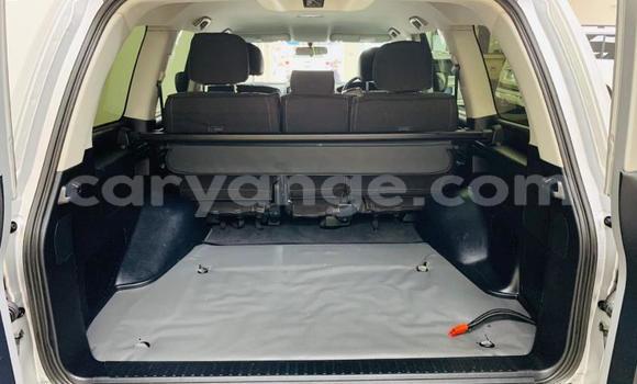 Buy Used Toyota Land Cruiser Prado White Car in Windhoek in Namibia Buy Used Toyota Land Cruiser Prado White Car in Windhoek in Namibia