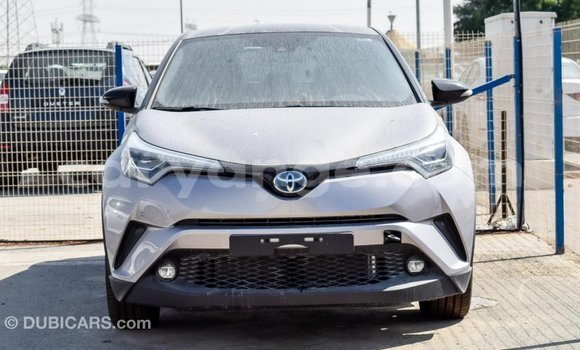 Buy Import Toyota C-HR Other Car in Import - Dubai in Namibia Buy Import Toyota C-HR Other Car in Import - Dubai in Namibia