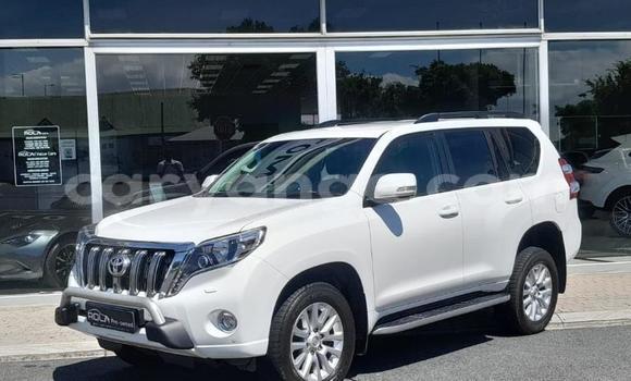 Buy Used Toyota Land Cruiser Prado White Car in Windhoek in Namibia