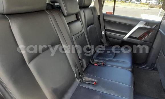 Buy Used Toyota Land Cruiser Prado White Car in Windhoek in Namibia Buy Used Toyota Land Cruiser Prado White Car in Windhoek in Namibia