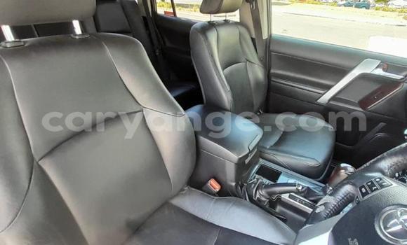 Buy Used Toyota Land Cruiser Prado White Car in Windhoek in Namibia Buy Used Toyota Land Cruiser Prado White Car in Windhoek in Namibia