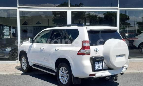 Buy Used Toyota Land Cruiser Prado White Car in Windhoek in Namibia Buy Used Toyota Land Cruiser Prado White Car in Windhoek in Namibia
