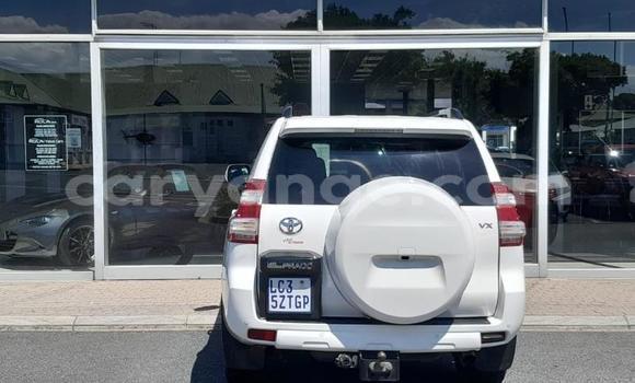 Buy Used Toyota Land Cruiser Prado White Car in Windhoek in Namibia Buy Used Toyota Land Cruiser Prado White Car in Windhoek in Namibia