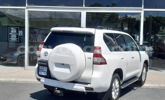 Buy Used Toyota Land Cruiser Prado White Car in Windhoek in Namibia Buy Used Toyota Land Cruiser Prado White Car in Windhoek in Namibia