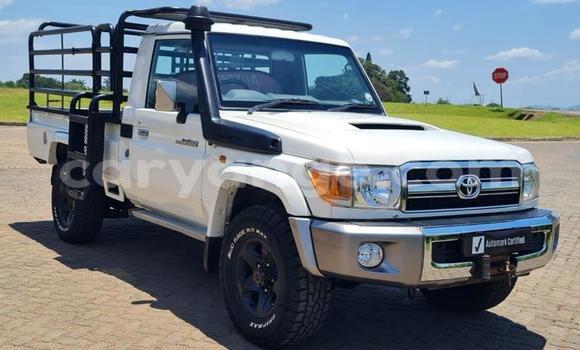 Buy Used Toyota Land Cruiser White Car in Windhoek in Namibia
