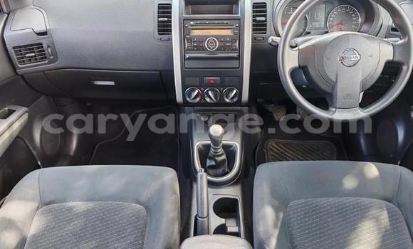 Buy Used Nissan X–Trail White Car in Windhoek in Namibia Buy Used Nissan X–Trail White Car in Windhoek in Namibia