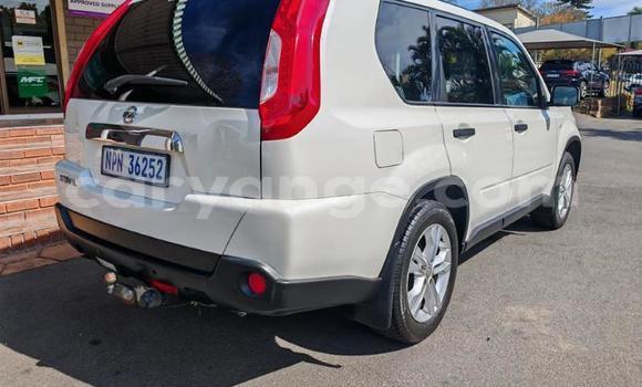 Buy Used Nissan X–Trail White Car in Windhoek in Namibia Buy Used Nissan X–Trail White Car in Windhoek in Namibia