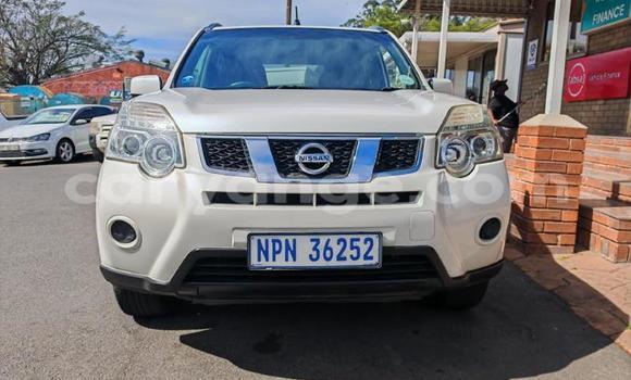 Buy Used Nissan X–Trail White Car in Windhoek in Namibia Buy Used Nissan X–Trail White Car in Windhoek in Namibia