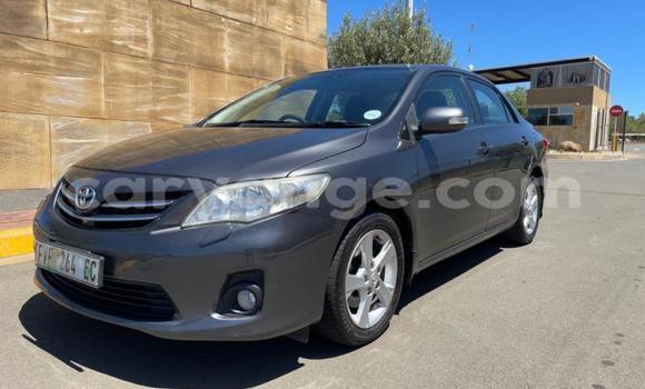 Acheter Occasion Voiture Toyota Corolla Noir à Gobabis, Omaheke