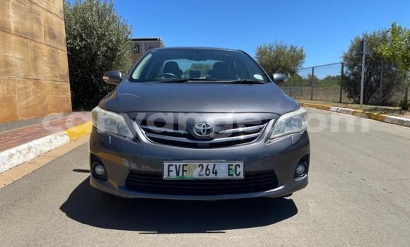Buy Used Toyota Corolla Black Car in Gobabis in Omaheke Buy Used Toyota Corolla Black Car in Gobabis in Omaheke