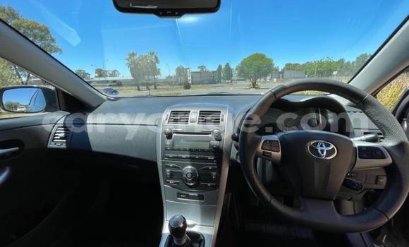 Buy Used Toyota Corolla Black Car in Gobabis in Omaheke Buy Used Toyota Corolla Black Car in Gobabis in Omaheke