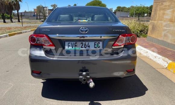 Buy Used Toyota Corolla Black Car in Gobabis in Omaheke Buy Used Toyota Corolla Black Car in Gobabis in Omaheke