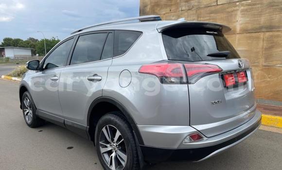 Buy Used Toyota RAV4 Silver Car in Gobabis in Omaheke Buy Used Toyota RAV4 Silver Car in Gobabis in Omaheke