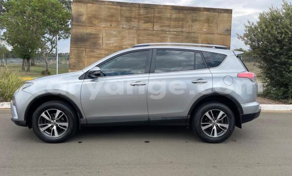 Buy Used Toyota RAV4 Silver Car in Gobabis in Omaheke Buy Used Toyota RAV4 Silver Car in Gobabis in Omaheke
