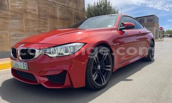 Buy Used BMW M4 Red Car in Gobabis in Omaheke Buy Used BMW M4 Red Car in Gobabis in Omaheke