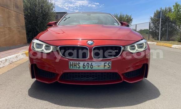 Buy Used BMW M4 Red Car in Gobabis in Omaheke Buy Used BMW M4 Red Car in Gobabis in Omaheke