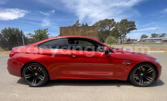 Buy Used BMW M4 Red Car in Gobabis in Omaheke Buy Used BMW M4 Red Car in Gobabis in Omaheke