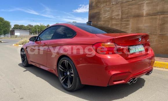 Buy Used BMW M4 Red Car in Gobabis in Omaheke Buy Used BMW M4 Red Car in Gobabis in Omaheke