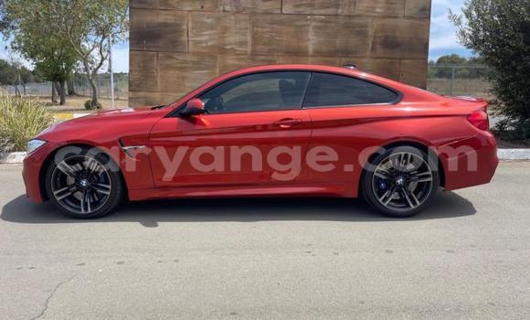 Buy Used BMW M4 Red Car in Gobabis in Omaheke Buy Used BMW M4 Red Car in Gobabis in Omaheke