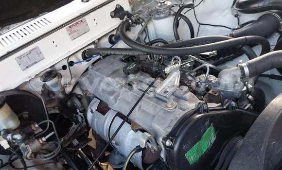 Buy Used Toyota Hilux White Car in Windhoek in Namibia Buy Used Toyota Hilux White Car in Windhoek in Namibia