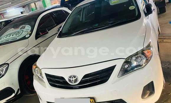 Buy Used Toyota Corolla White Car in Windhoek in Namibia