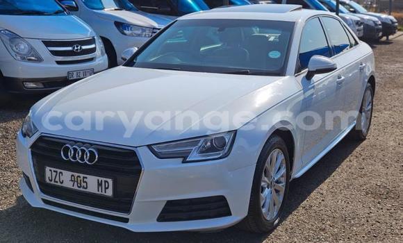 Buy Used Audi A4 White Car in Windhoek in Namibia