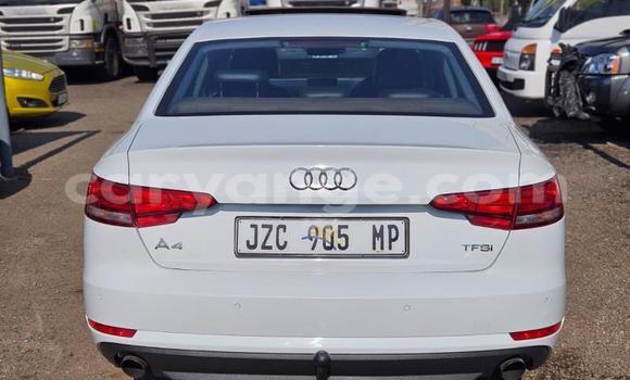 Buy Used Audi A4 White Car in Windhoek in Namibia Buy Used Audi A4 White Car in Windhoek in Namibia