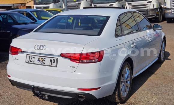 Buy Used Audi A4 White Car in Windhoek in Namibia Buy Used Audi A4 White Car in Windhoek in Namibia
