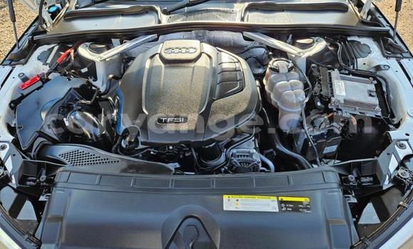 Buy Used Audi A4 White Car in Windhoek in Namibia Buy Used Audi A4 White Car in Windhoek in Namibia