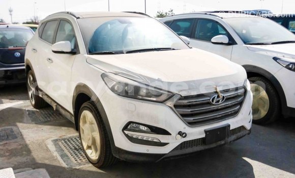 Acheter Import Voiture Hyundai Tucson Blanc à Import - Dubai, Namibie Acheter Import Voiture Hyundai Tucson Blanc à Import - Dubai, Namibie